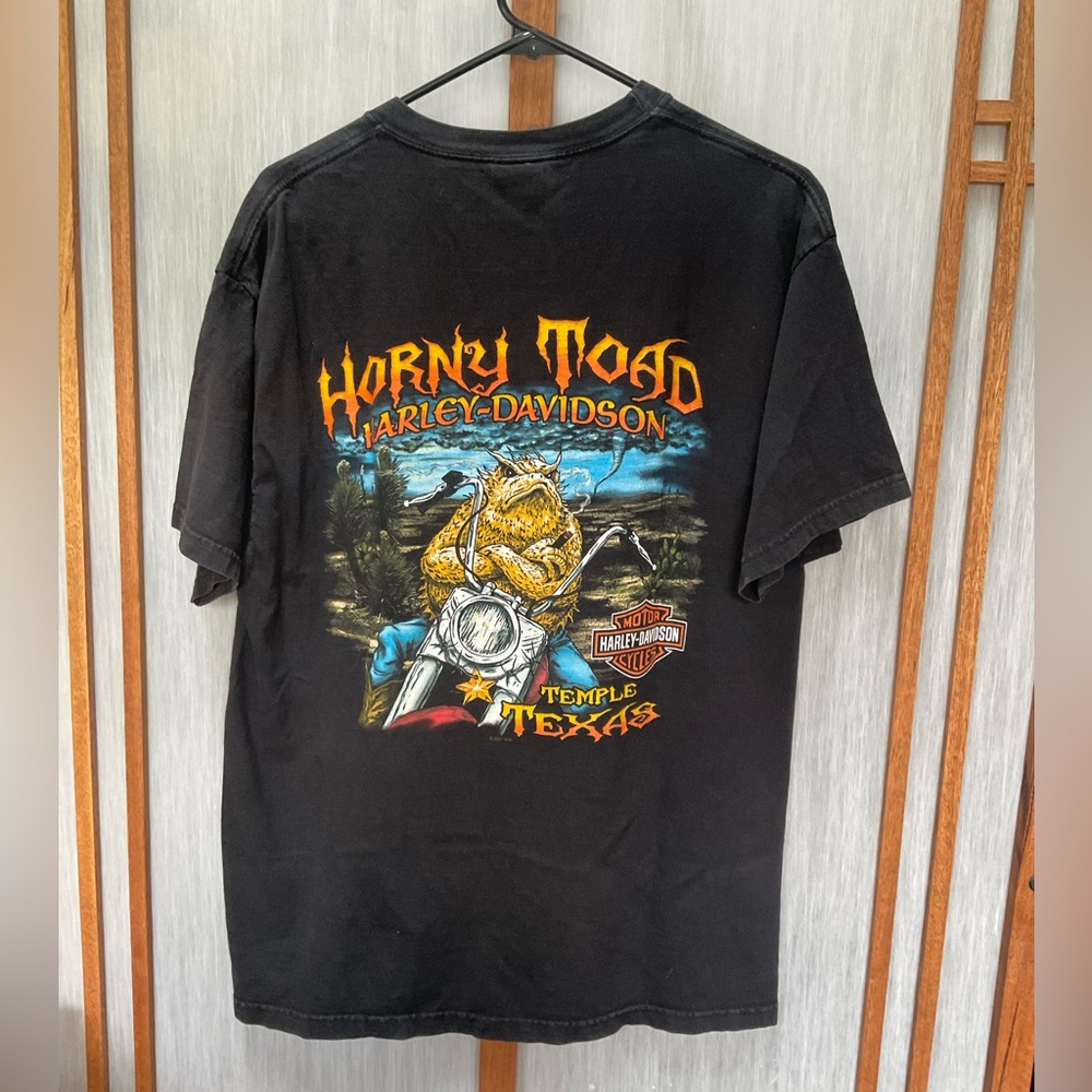 Men’s Harley Davidson Large t-shirt, 2007 Horny Toad Harley Davidson